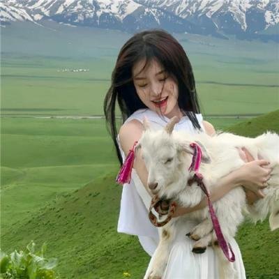 爱与背叛海报